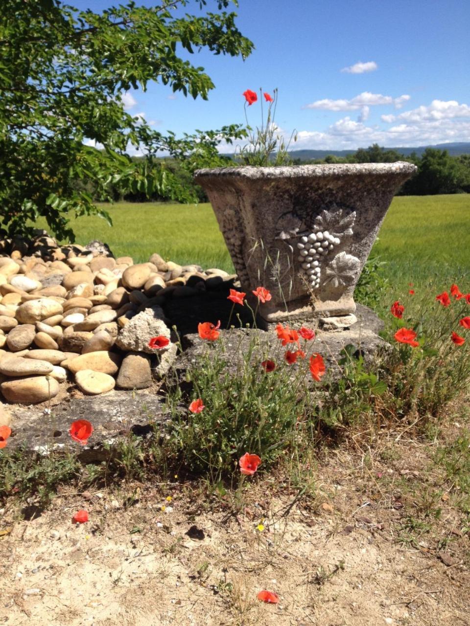 La Salamandre Bleue Villa Chantemerle-lès-Grignan Exterior photo